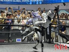 2024年全球货色商业的增速是 