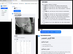 <b>通过实施“人工智能先导计</b> 